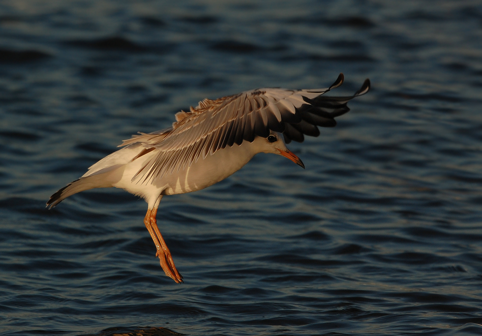 Landeanflug...