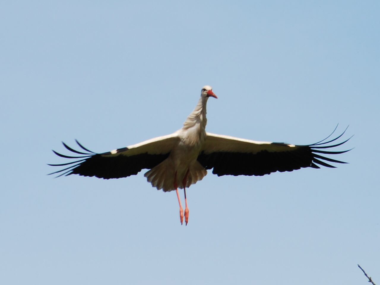 Landeanflug erster Versuch zu schnell