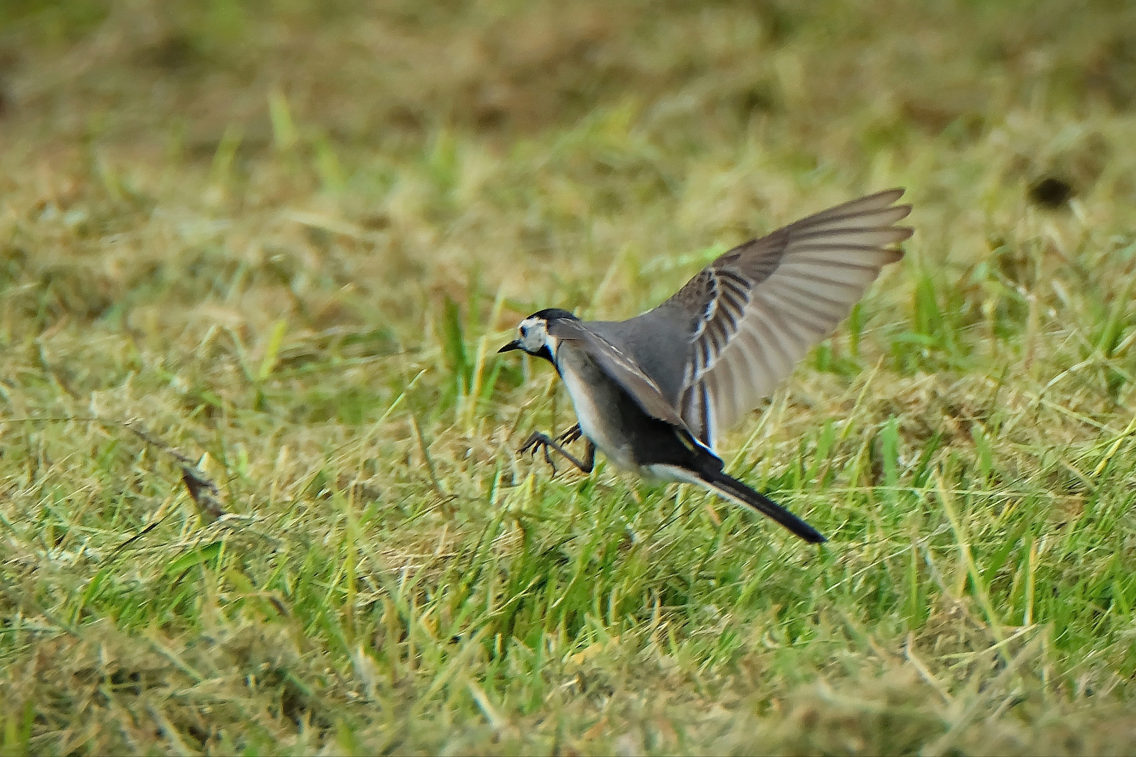 Landeanflug ...