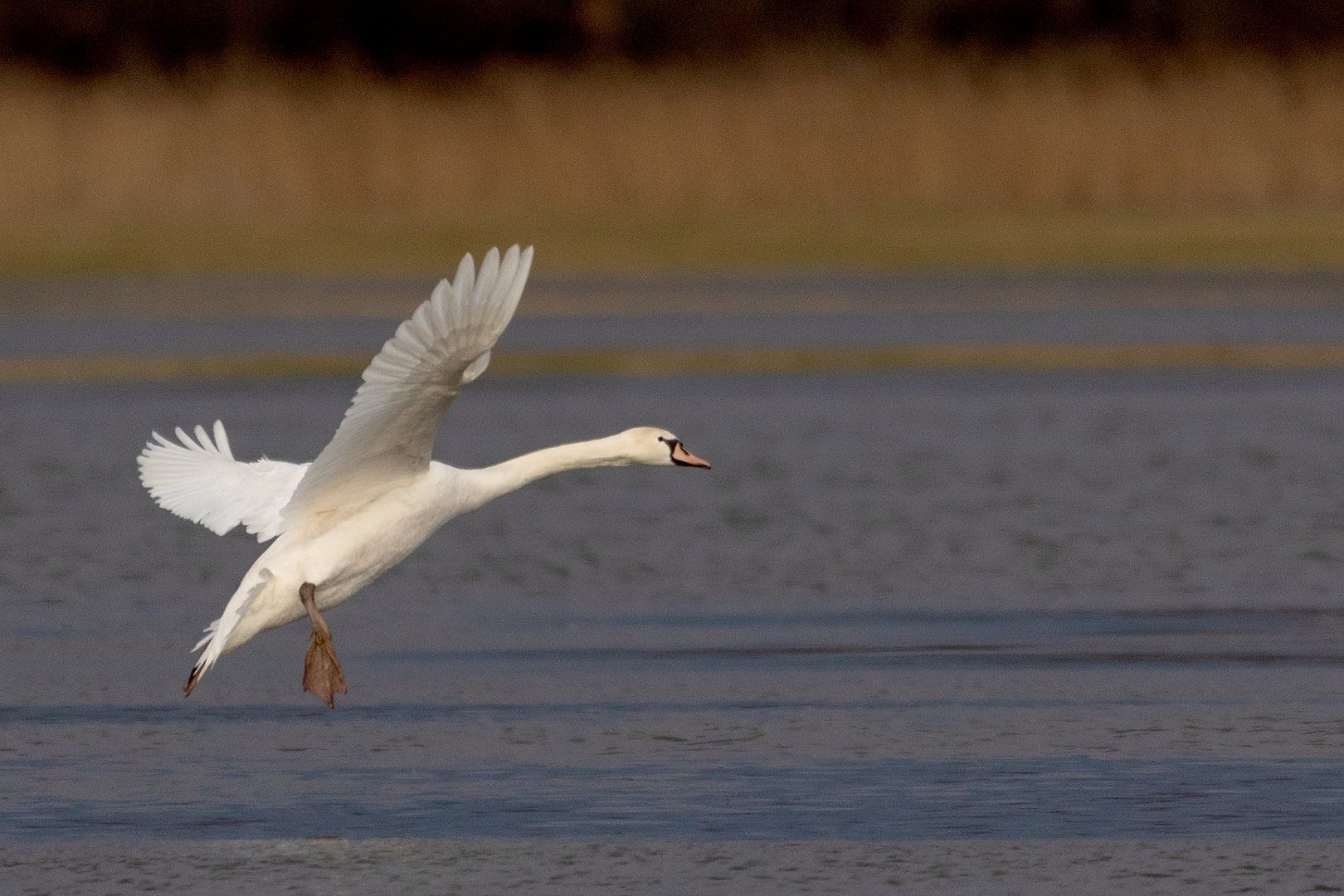 Landeanflug