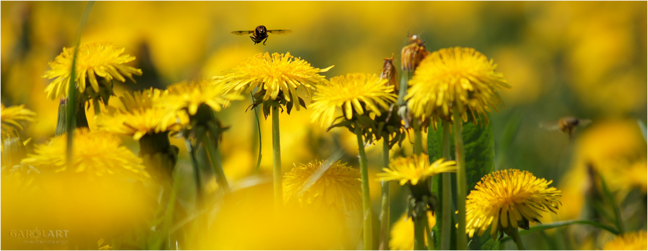 Landeanflug