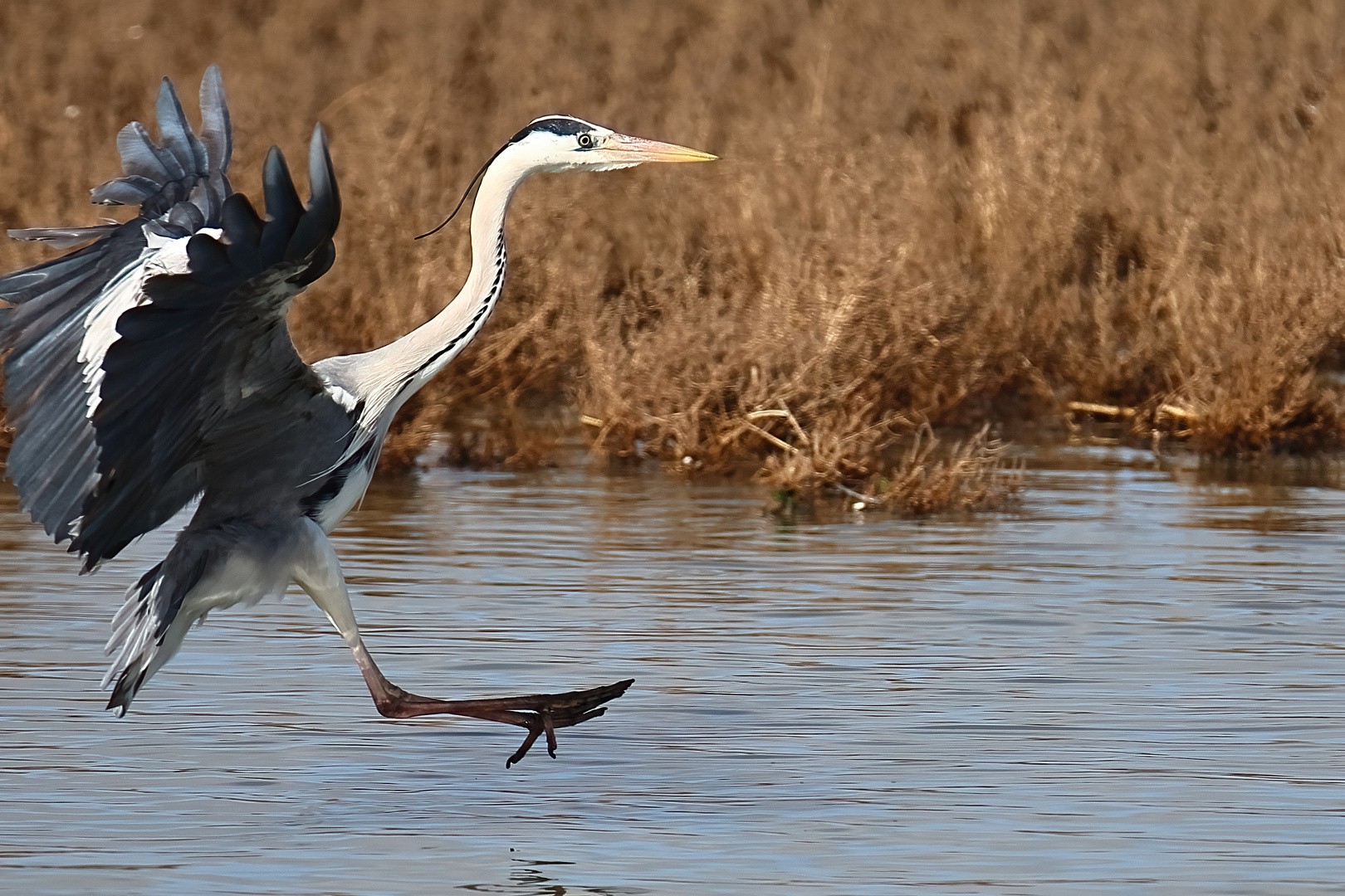 Landeanflug