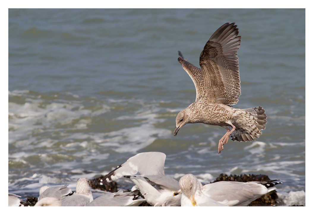 Landeanflug