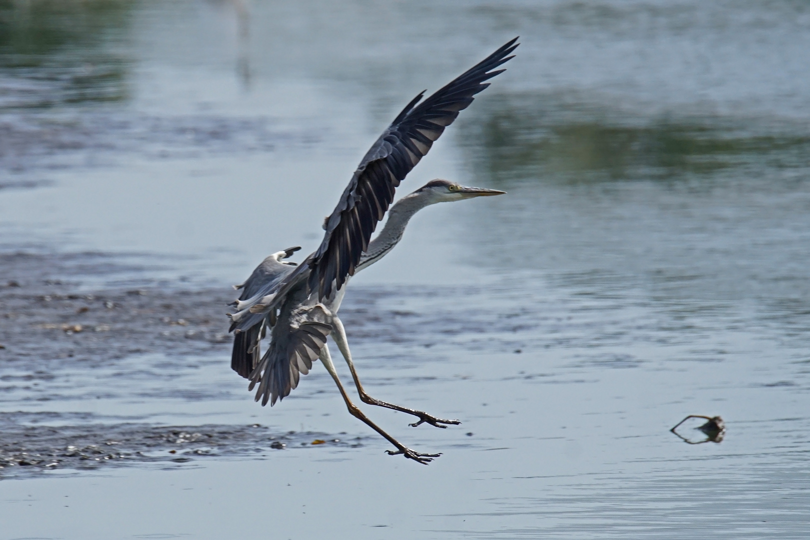 Landeanflug....