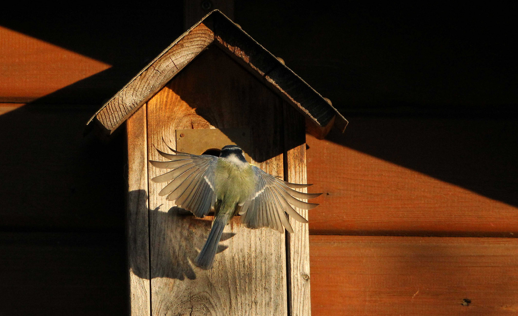 Landeanflug I