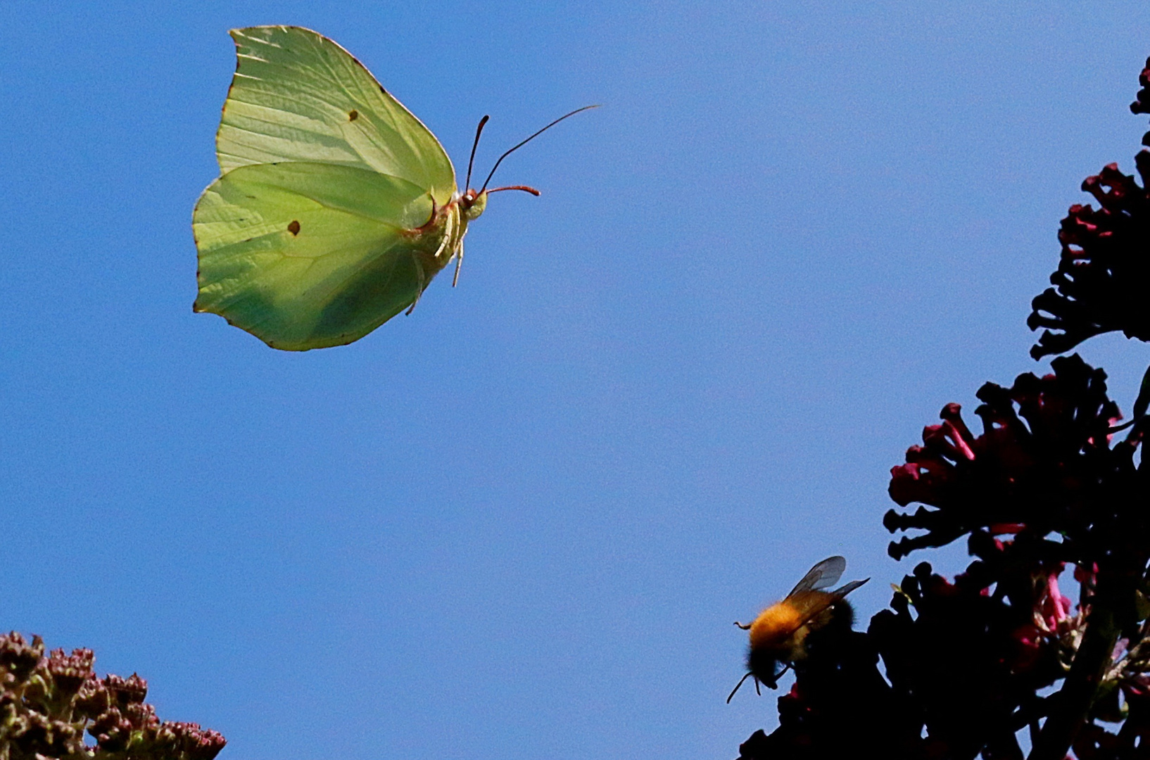 Landeanflug im Gegenlicht ...