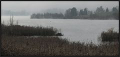 Landeanflug im Nebel