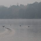 Landeanflug im Nebel