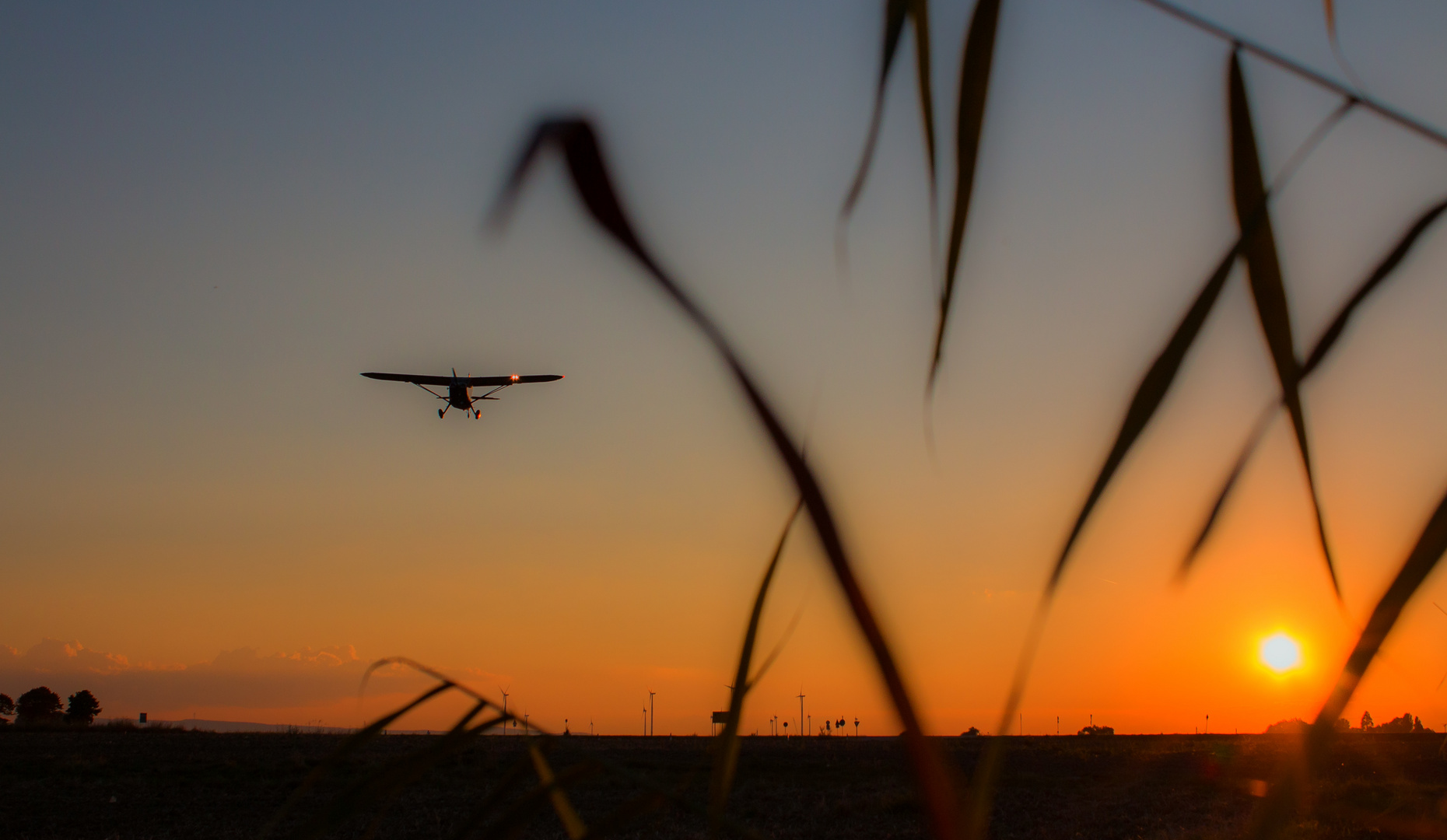 Landeanflug in der Abendsonne