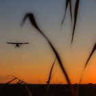 Landeanflug in der Abendsonne