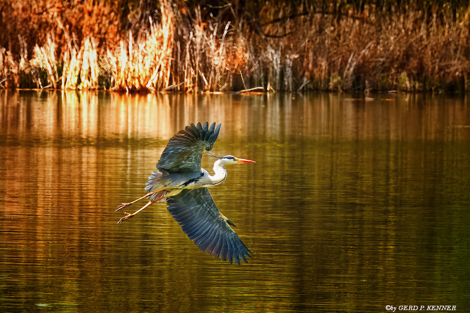 Landeanflug in der Abendsonne