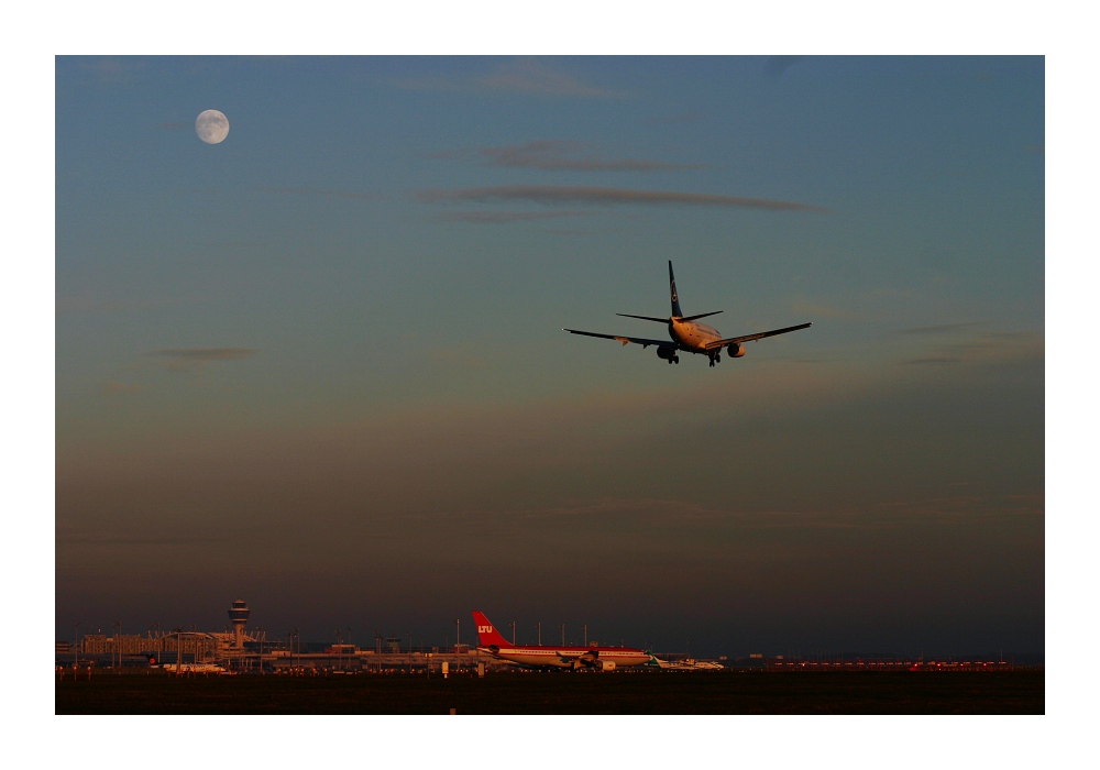 Landeanflug in der Abendsonne