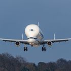 Landeanflug in Finkenwerder 