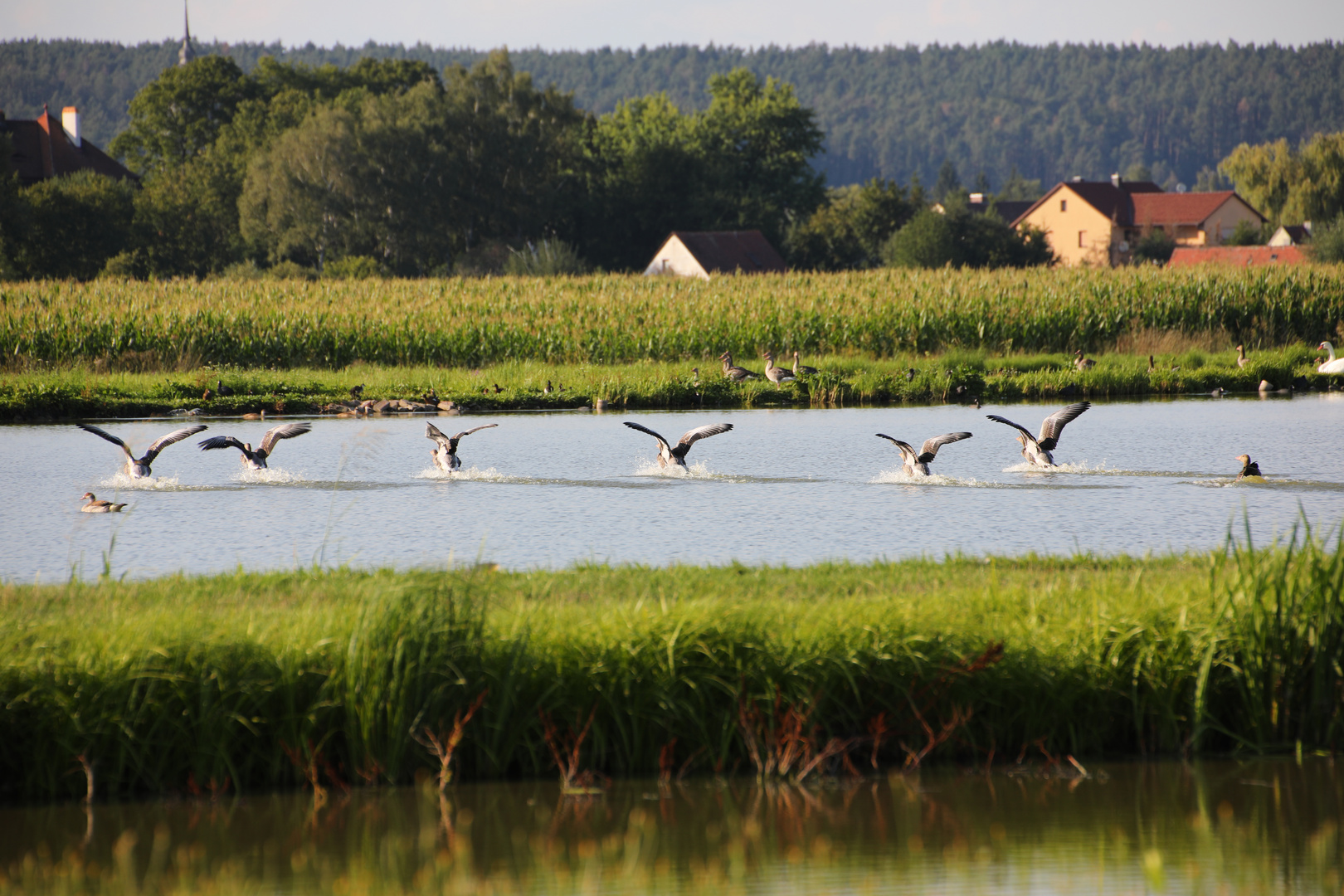 Landeanflug in Formation