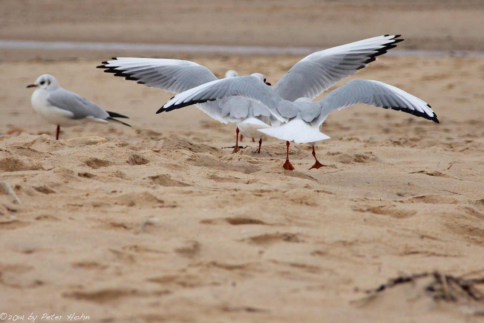 Landeanflug in Surlac sur mer