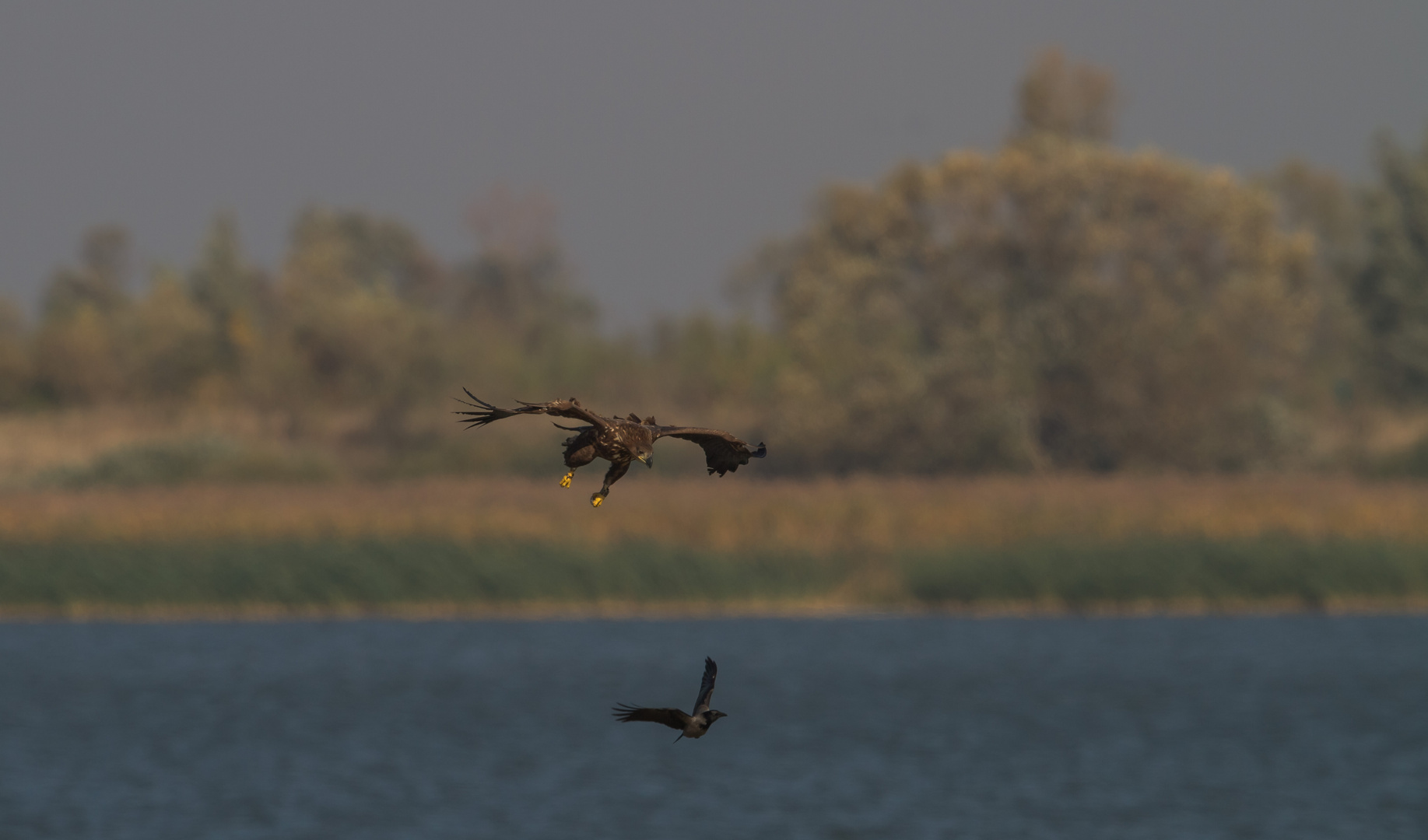 Landeanflug mit Fluglotse