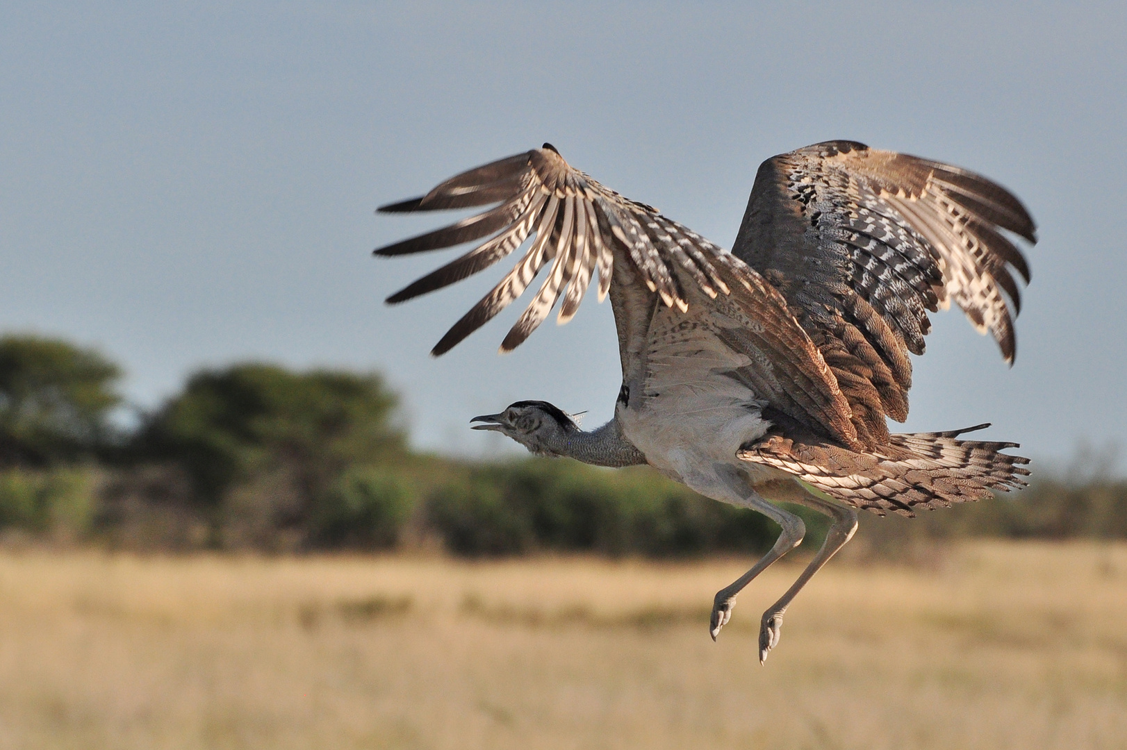 Landeanflug mit Sichtkontolle