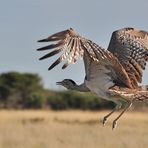 Landeanflug mit Sichtkontolle