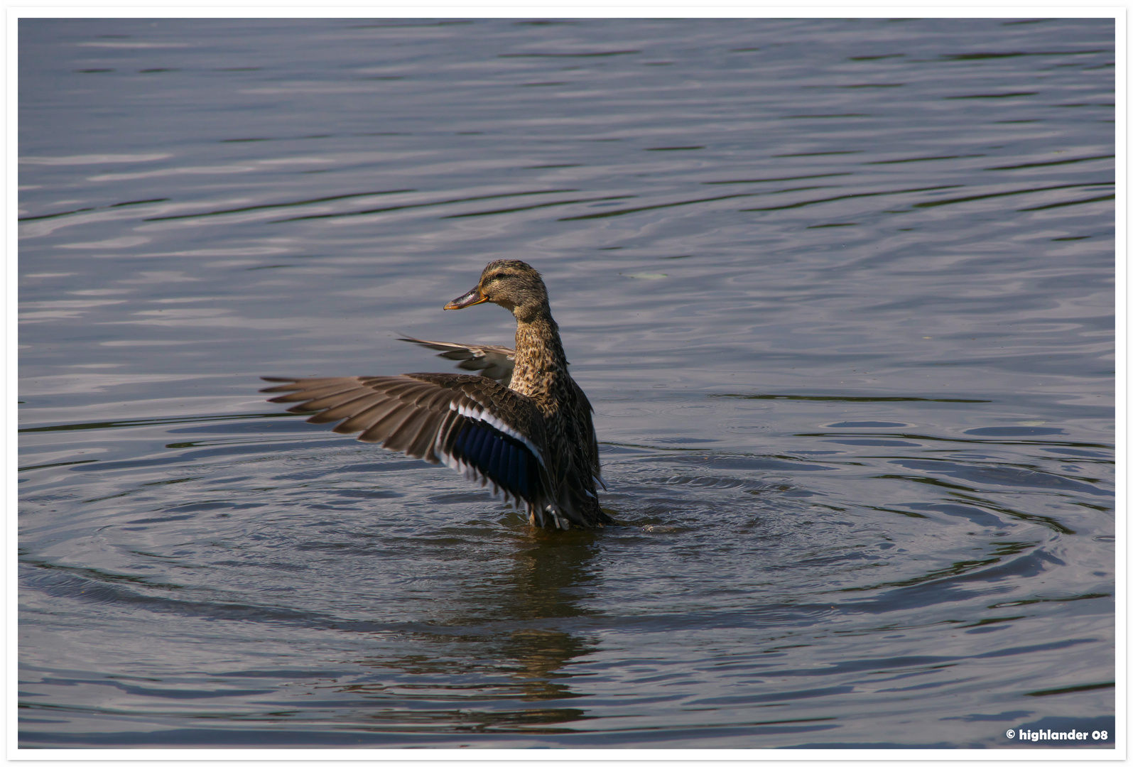 Landeanflug und Dirigent