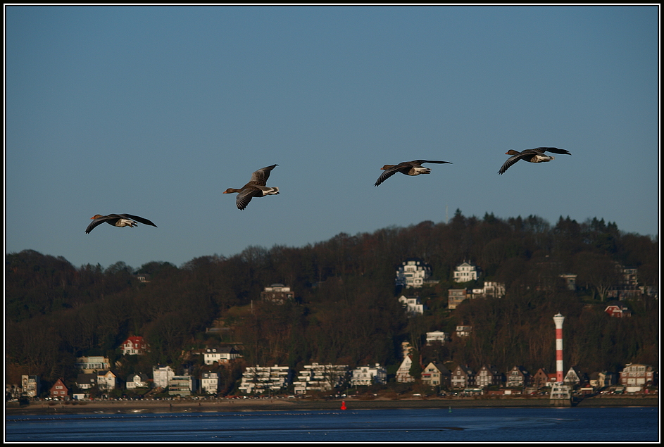 Landeanflug vor Blankenese