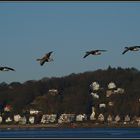 Landeanflug vor Blankenese