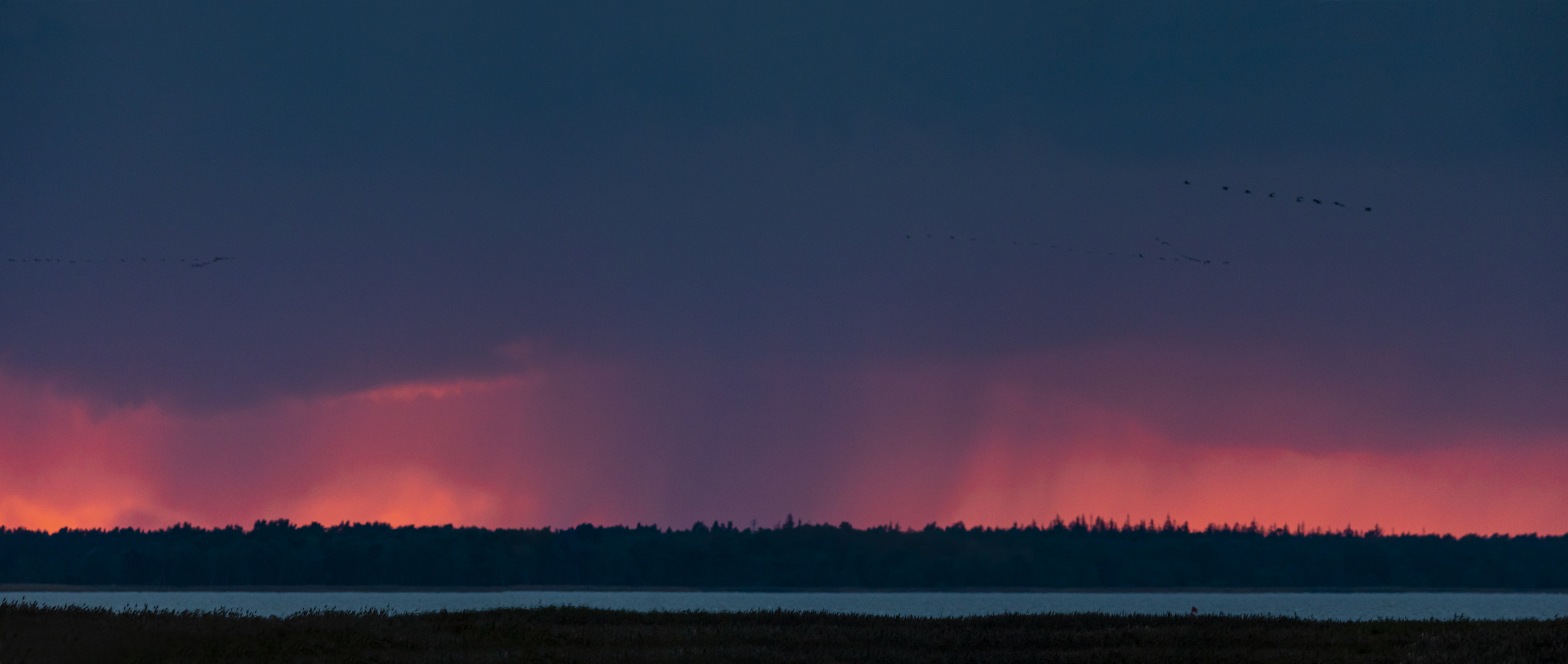 Landeanflug vor dem Gewitter (1)