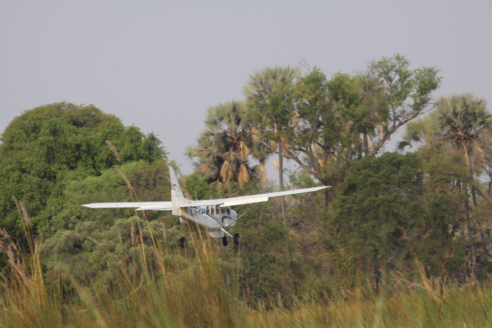 Landeanflug zu Moremi Camp Okavango Airstrip