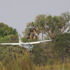 Landeanflug zu Moremi Camp Okavango Airstrip