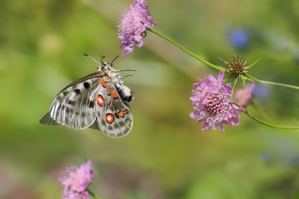 Landeanflug zum Nachtanken