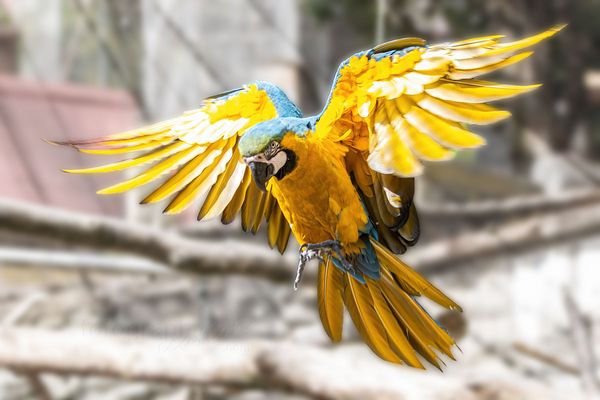 Landeanflug zum Wochenende!