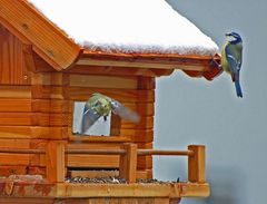 Landeanflug+Flugüberwachung!;-)