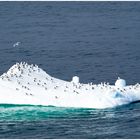 Landebasis bei Qeqertarsuaq / Grönland