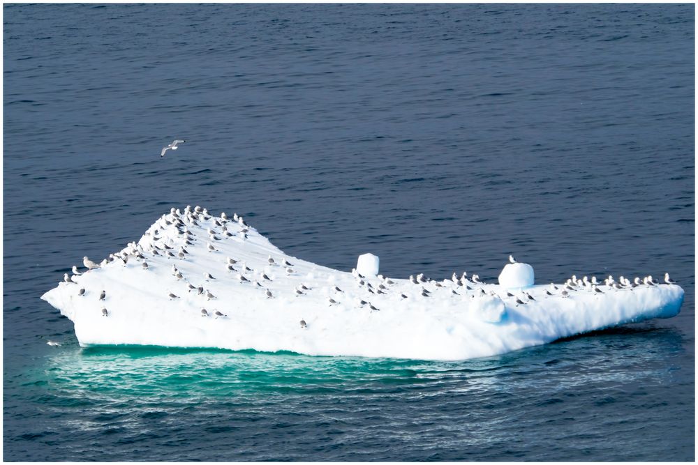 Landebasis bei Qeqertarsuaq / Grönland