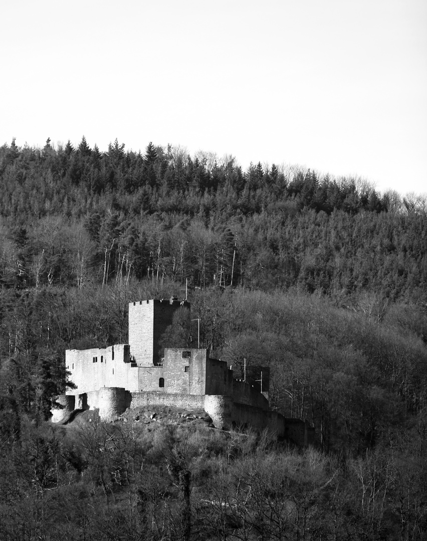 Landeck bei Klingenmünster I