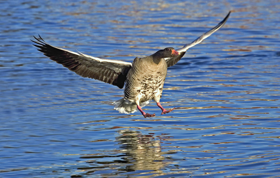 Landenanflug-3-2...