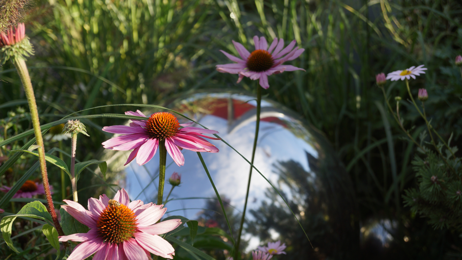 Landesgartenschau 2012