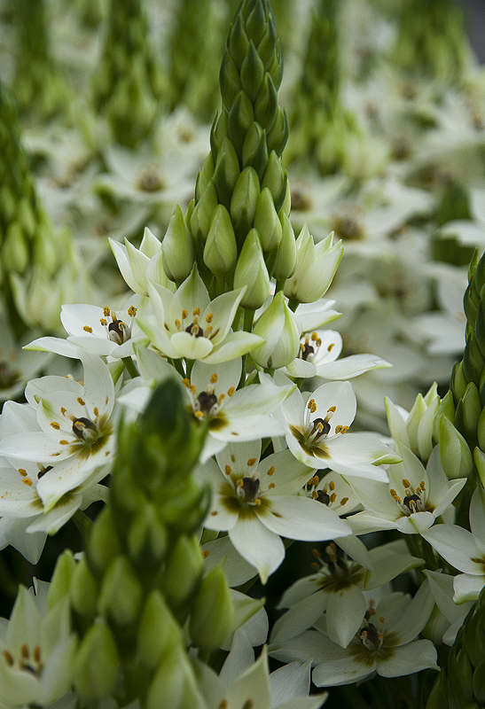 Landesgartenschau 2014