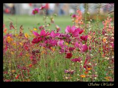 Landesgartenschau 2014 - Schwäbisch Gmünd