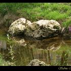 Landesgartenschau 2014 - Schwäbisch Gmünd