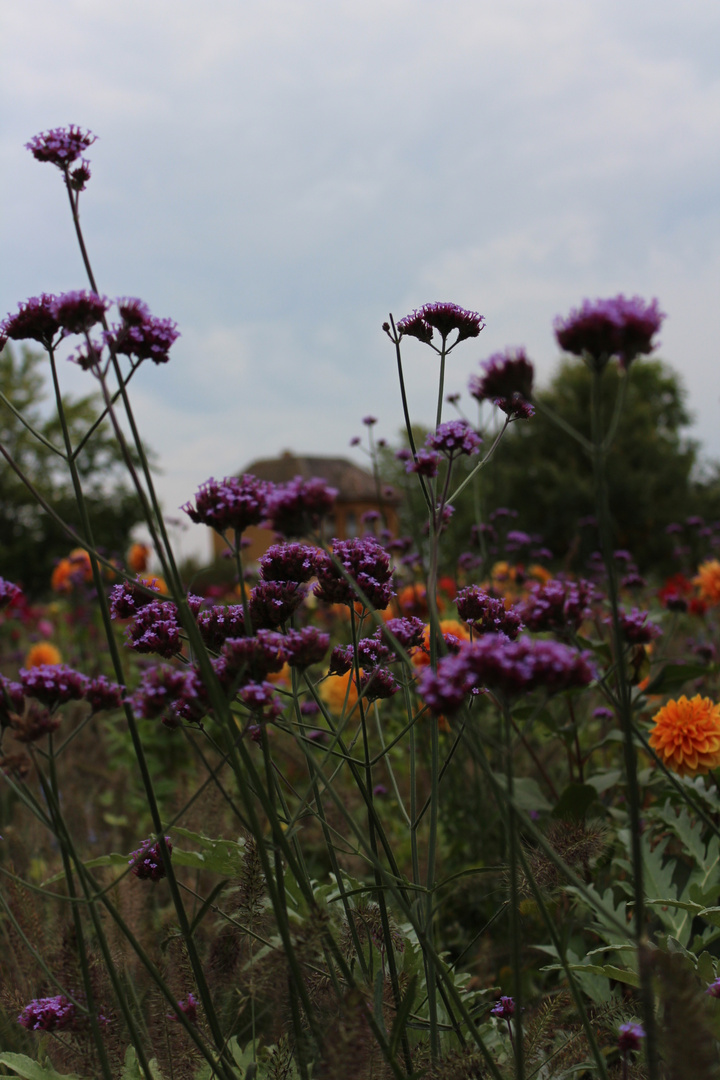 ...Landesgartenschau 2015