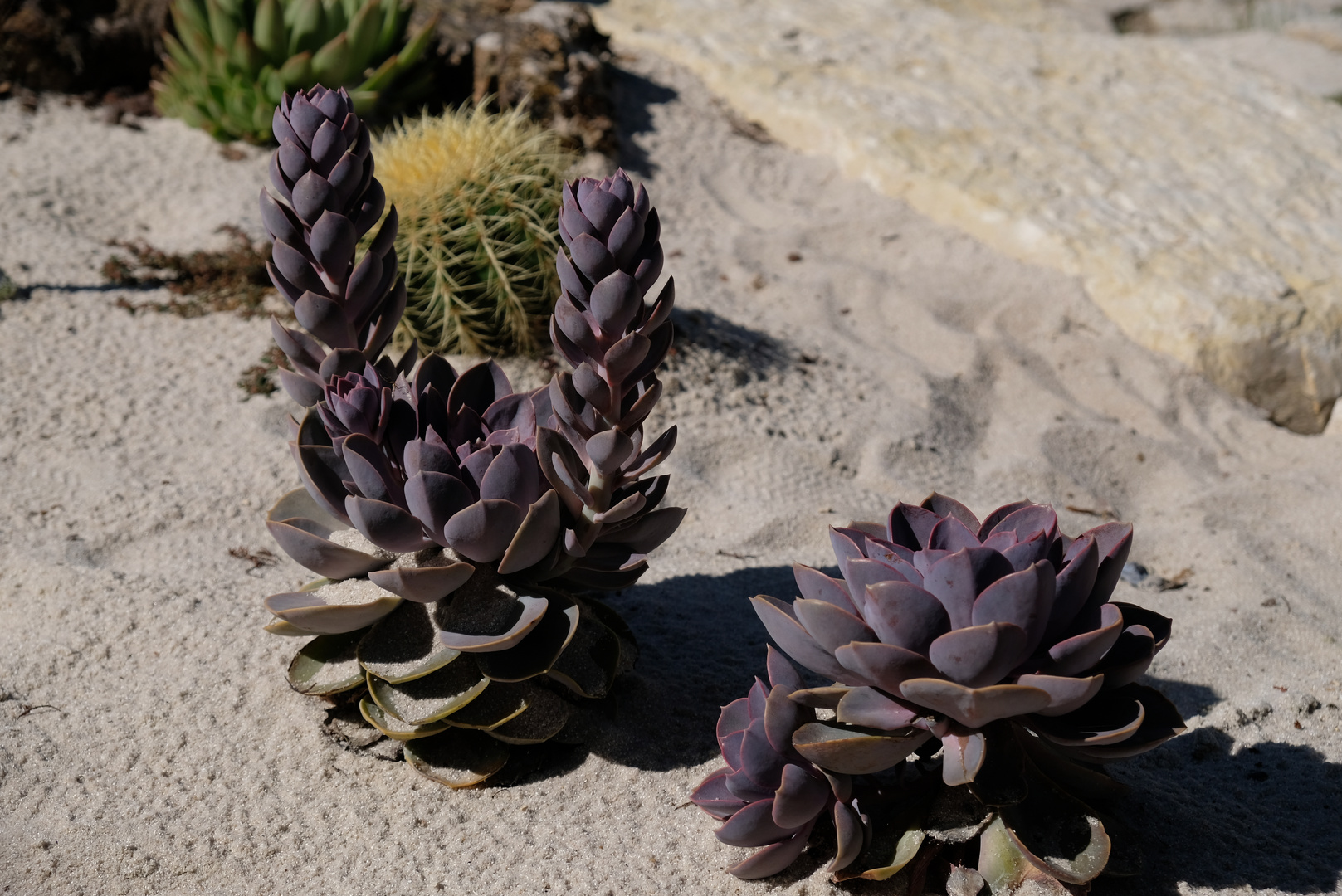 Landesgartenschau 2019 Wassertrüdingen