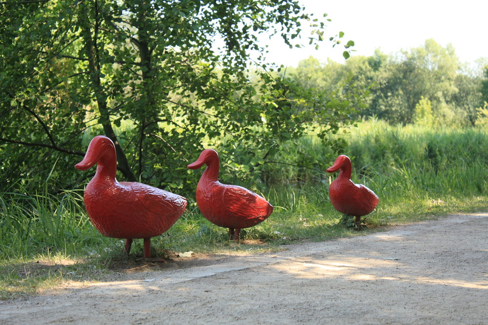 Landesgartenschau 2oo8/Rietberg