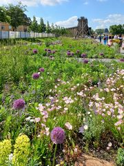 Landesgartenschau Bad Dürrenberg (1)