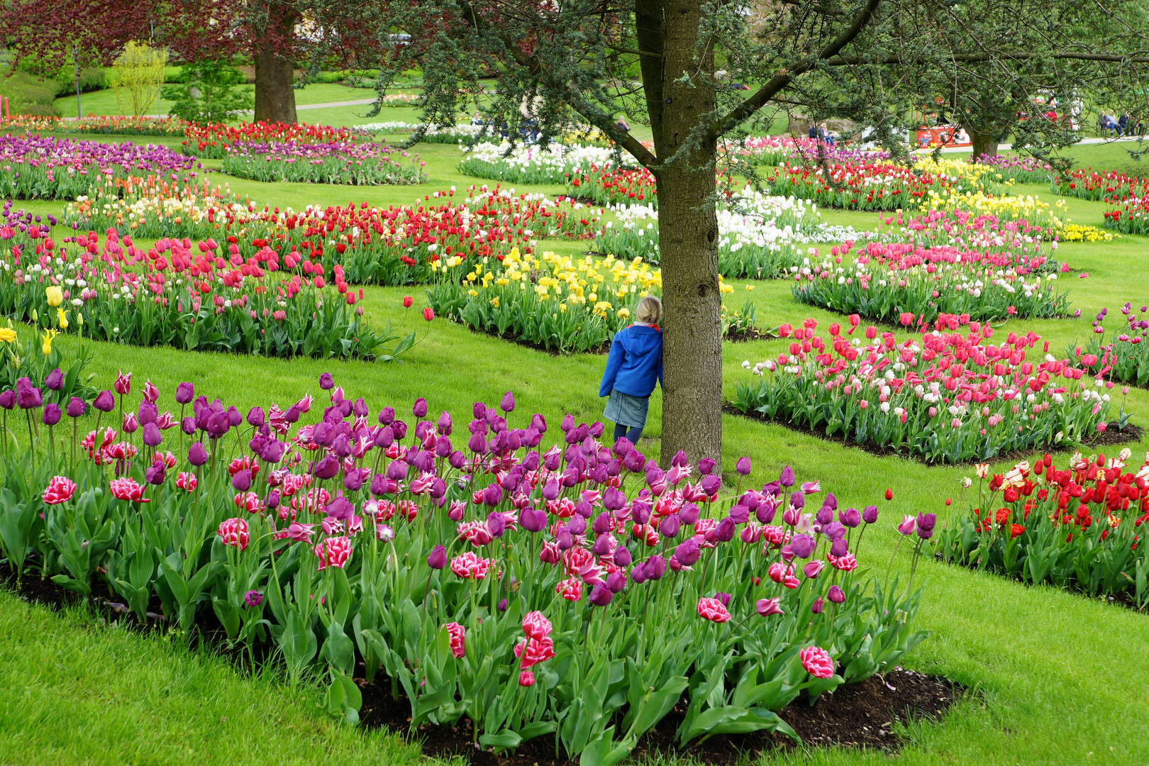 Landesgartenschau Bad Iburg