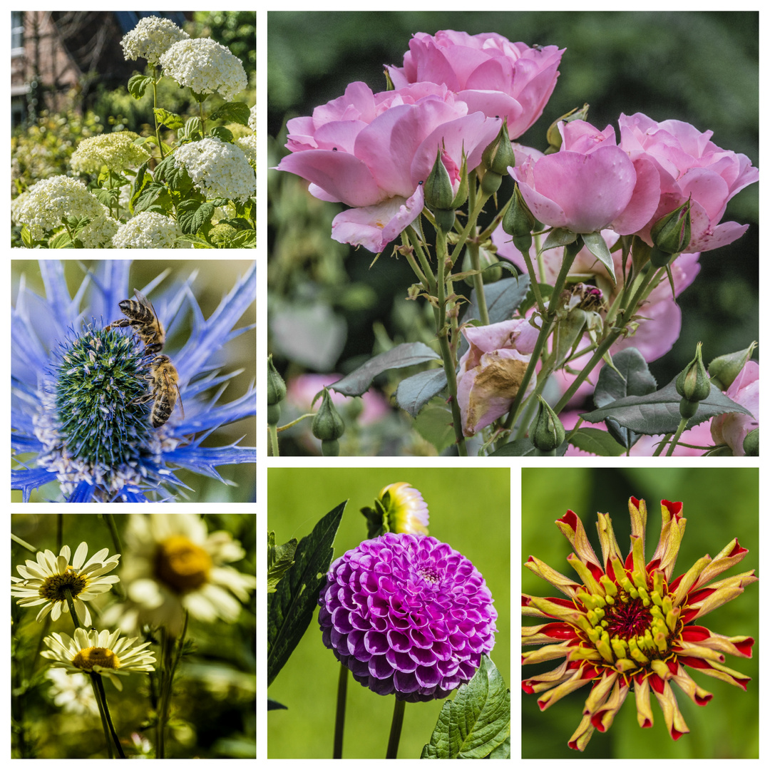 Landesgartenschau Eutin 2016