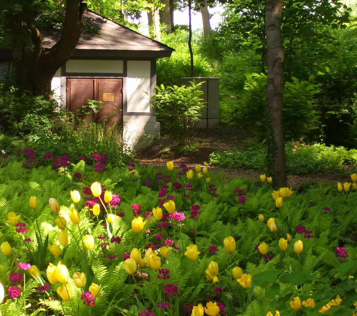 Landesgartenschau im Frühling