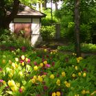 Landesgartenschau im Frühling