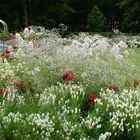 Landesgartenschau in Aschersleben