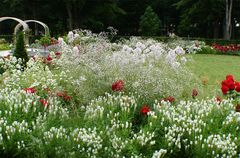 Landesgartenschau in Aschersleben