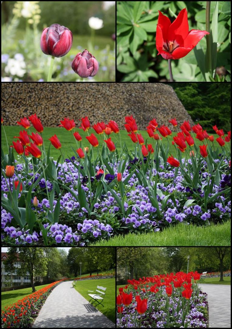 Landesgartenschau in Bad Essen 16.05.2010